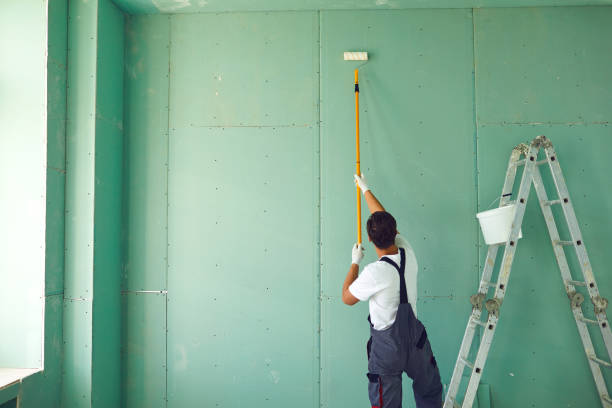 Professional Mold Removal in Three Oaks, MI