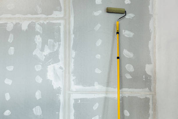 Best Industrial Mold Remediation  in Three Oaks, MI