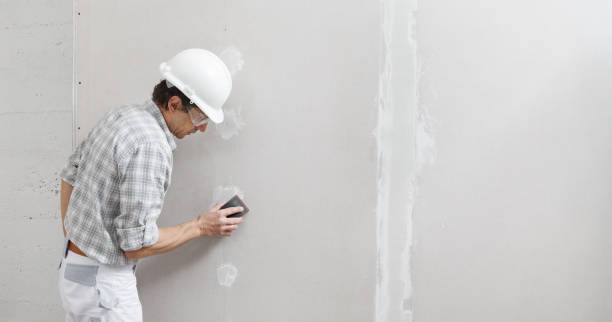 Best Comprehensive Air Testing for Mold Contaminants  in Three Oaks, MI