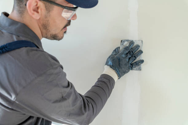Best Forensic Mold Investigation  in Three Oaks, MI