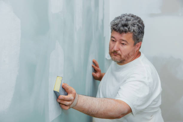  Three Oaks, MI Mold Removal Pros
