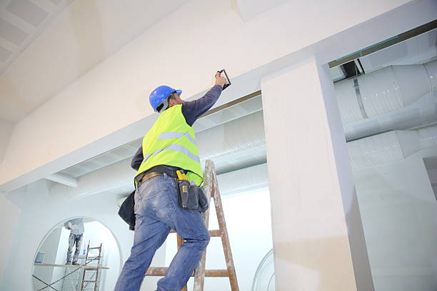 Best Post-Construction Mold Inspection  in Three Oaks, MI