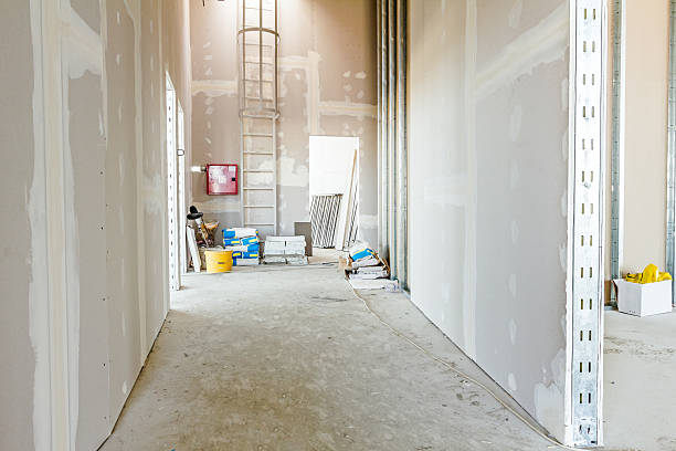 Best Mold Documentation for Insurance Claims  in Three Oaks, MI
