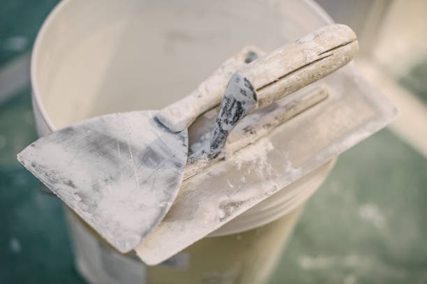Best Residential Mold Inspection & Testing  in Three Oaks, MI